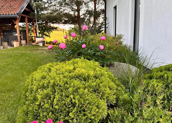 Siedlisko Kaczory Lesniewo (Ketrzyn)