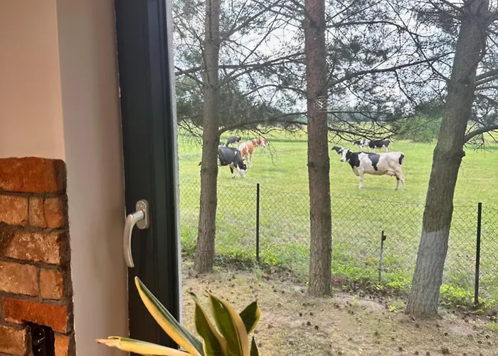 Дом отдыха Siedlisko Kaczory